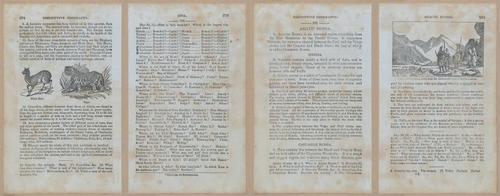 E348 - Mitchell's Geography 1845 - 12829-12830-12831-12832