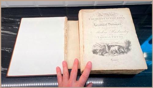 E357 - Farmer_s Cyclopaedia - 3726