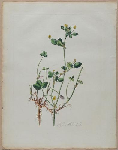 E357 - Farmer_s Cyclopaedia - i13713