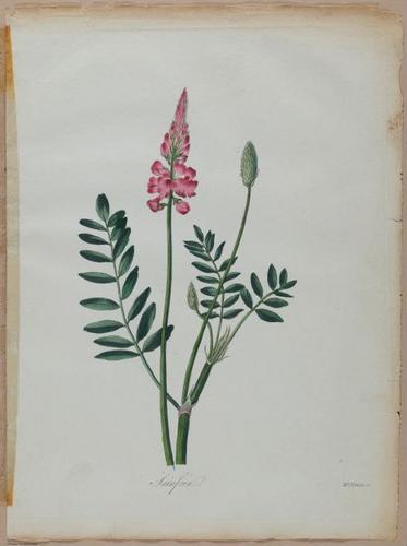 E357 - Farmer_s Cyclopaedia - i13715