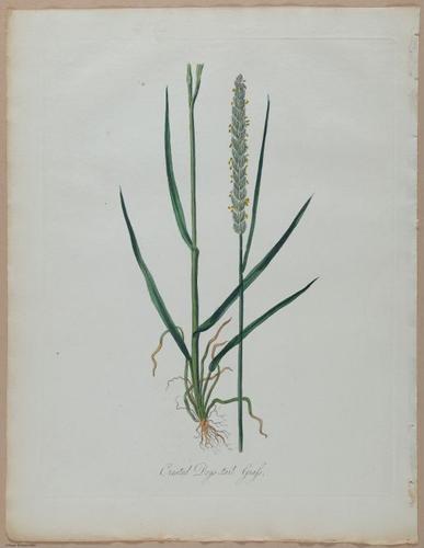 E357 - Farmer_s Cyclopaedia - i13716
