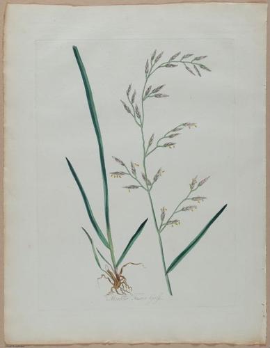 E357 - Farmer_s Cyclopaedia - i13717