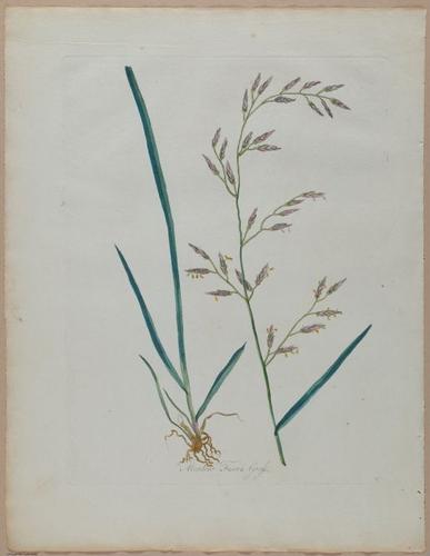 E357 - Farmer_s Cyclopaedia - i13718