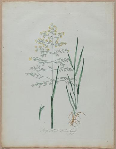 E357 - Farmer_s Cyclopaedia - i13719