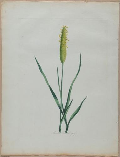 E357 - Farmer_s Cyclopaedia - i13720