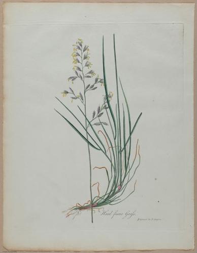 E357 - Farmer_s Cyclopaedia - i13721
