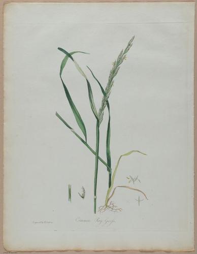 E357 - Farmer_s Cyclopaedia - i13722