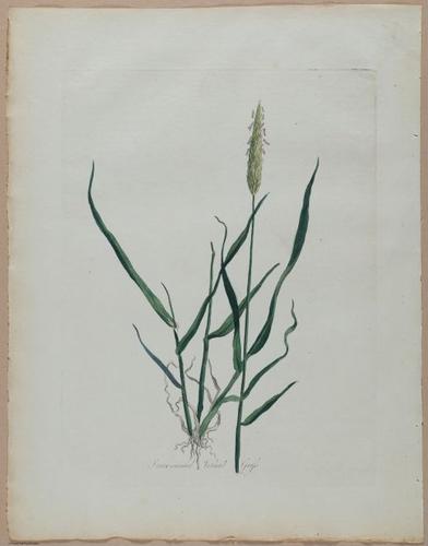 E357 - Farmer_s Cyclopaedia - i13723