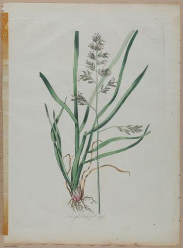 E357 - Farmer_s Cyclopaedia - i13724