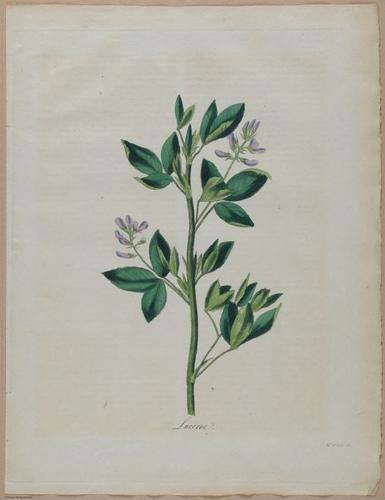 E357 - Farmer_s Cyclopaedia - i13725