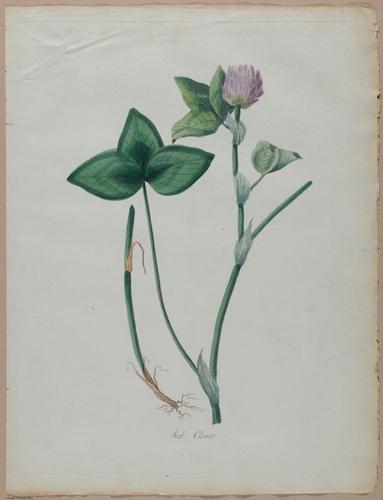 E357 - Farmer_s Cyclopaedia - i13726