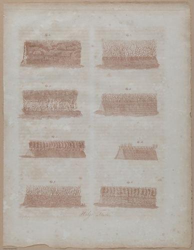 E357 - Farmer_s Cyclopaedia - i13728