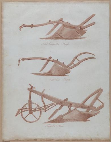E357 - Farmer_s Cyclopaedia - i13736