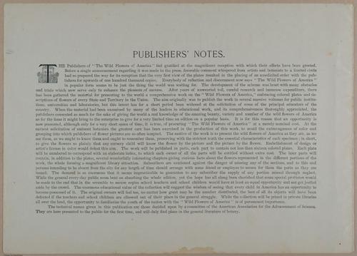 E356 - Wildflowers of America - i13580
