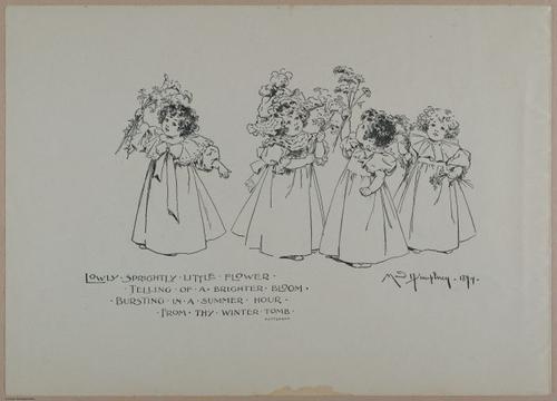 E356 - Wildflowers of America - i13582