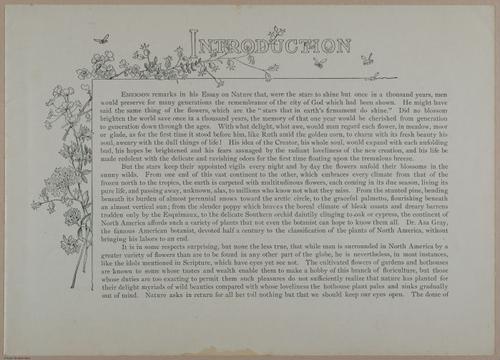E356 - Wildflowers of America - i13583