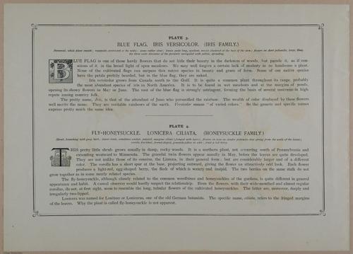 E356 - Wildflowers of America - i13596