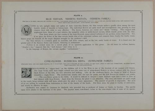 E356 - Wildflowers of America - i13601
