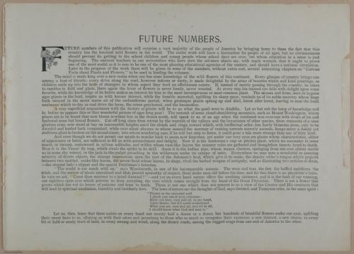 E356 - Wildflowers of America - i13612