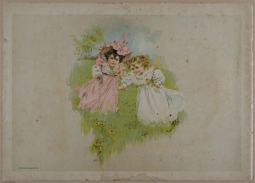 E356 - Wildflowers of America - i13613