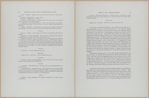 E365 - Birds of Cambridge - i14240-14241