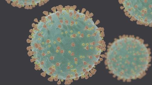 E361 - 010 SCI Coronavirus