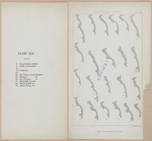 E362 - Gothic Moldings - i14193-14194