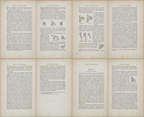 E362 - Gothic Moldings - i14107-14108-14109-14110-14111-14112-14113-14114