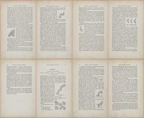E362 - Gothic Moldings - i14099-14100-14101-14102-14103-14104-14105-14106