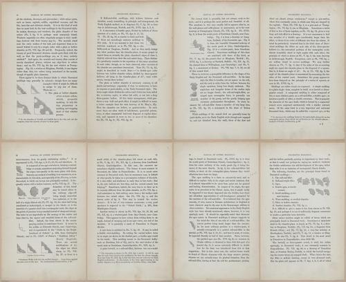 E362 - Gothic Moldings - i14115-14116-14117-14118-14119-14120-14121-14122