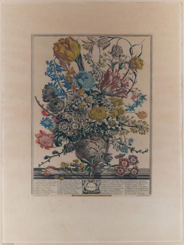 E374 - Various Rich Breiman - i16282-16283