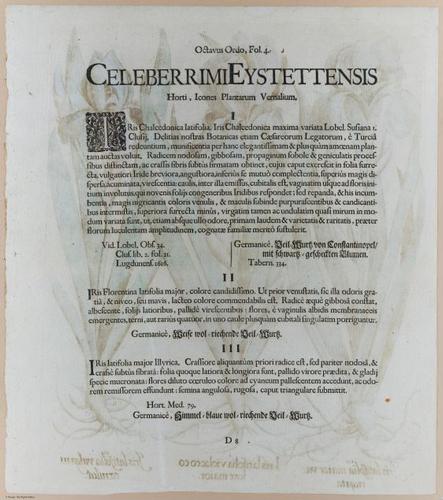 E374 - Various Rich Breiman - i16313-16314