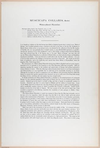 E374 - Various Rich Breiman - i16208