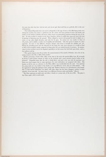 E374 - Various Rich Breiman - i16209