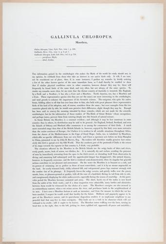 E374 - Various Rich Breiman - i16214