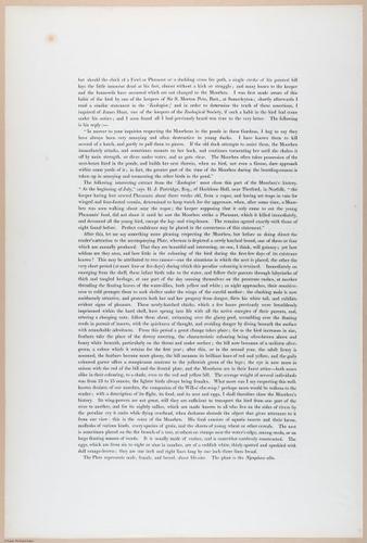 E374 - Various Rich Breiman - i16215