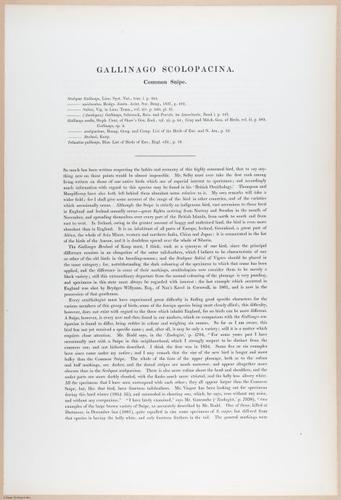 E374 - Various Rich Breiman - i16222