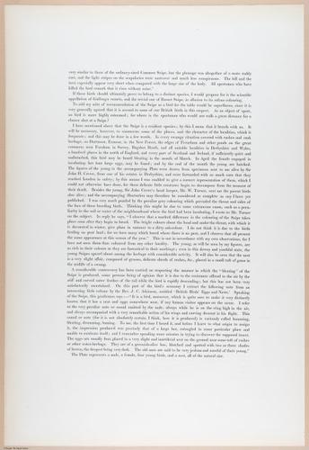 E374 - Various Rich Breiman - i16223