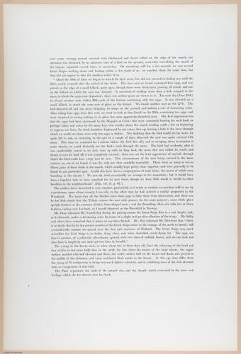 E374 - Various Rich Breiman - i16227