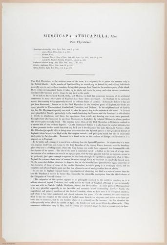 E374 - Various Rich Breiman - i16229