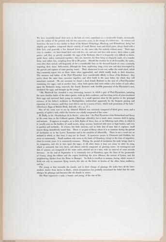 E374 - Various Rich Breiman - i16230