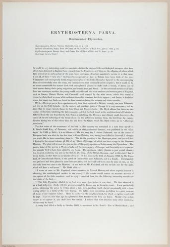 E374 - Various Rich Breiman - i16232