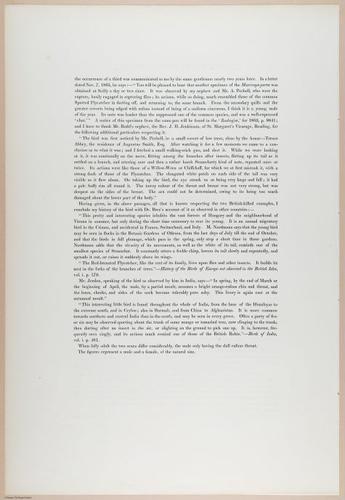 E374 - Various Rich Breiman - i16233