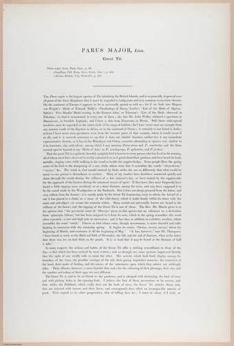 E374 - Various Rich Breiman - i16235