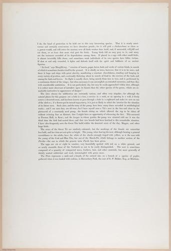E374 - Various Rich Breiman - i16236