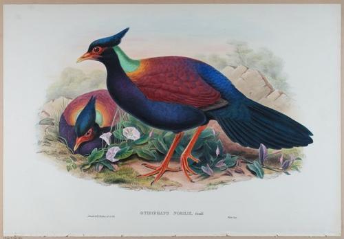 E374 - Various Rich Breiman - i16340