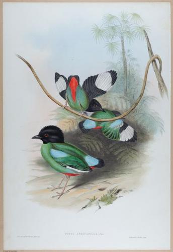 E374 - Various Rich Breiman - i16342
