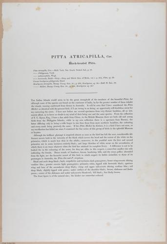 E374 - Various Rich Breiman - i16343
