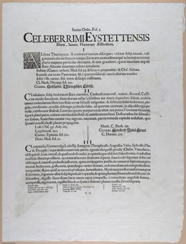 E374 - Various Rich Breiman - i16345