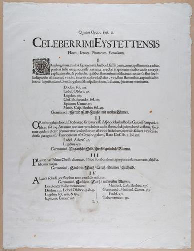 E374 - Various Rich Breiman - i16353